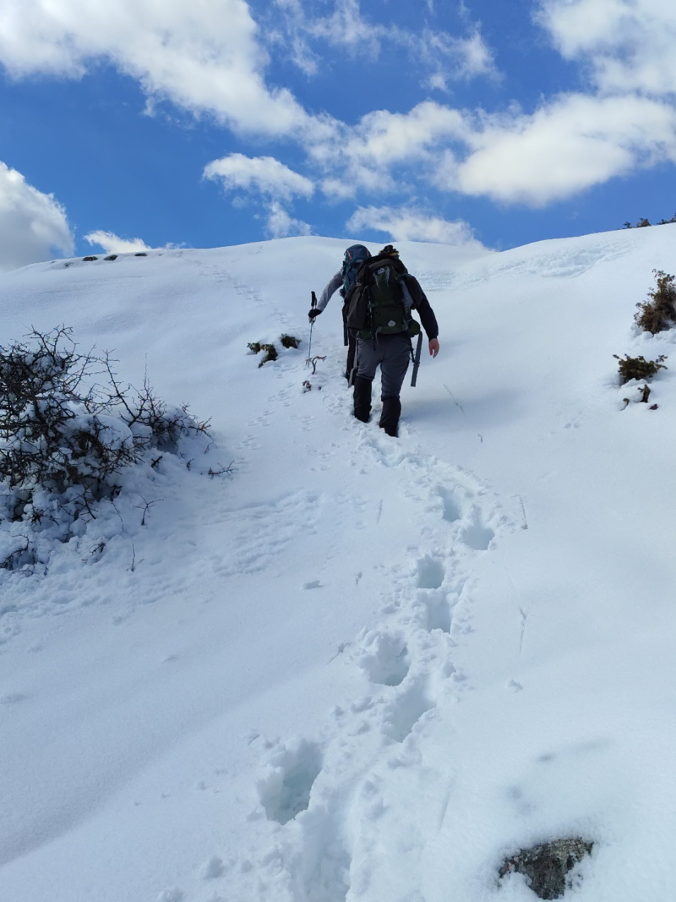 @Only Fools and Hikers
