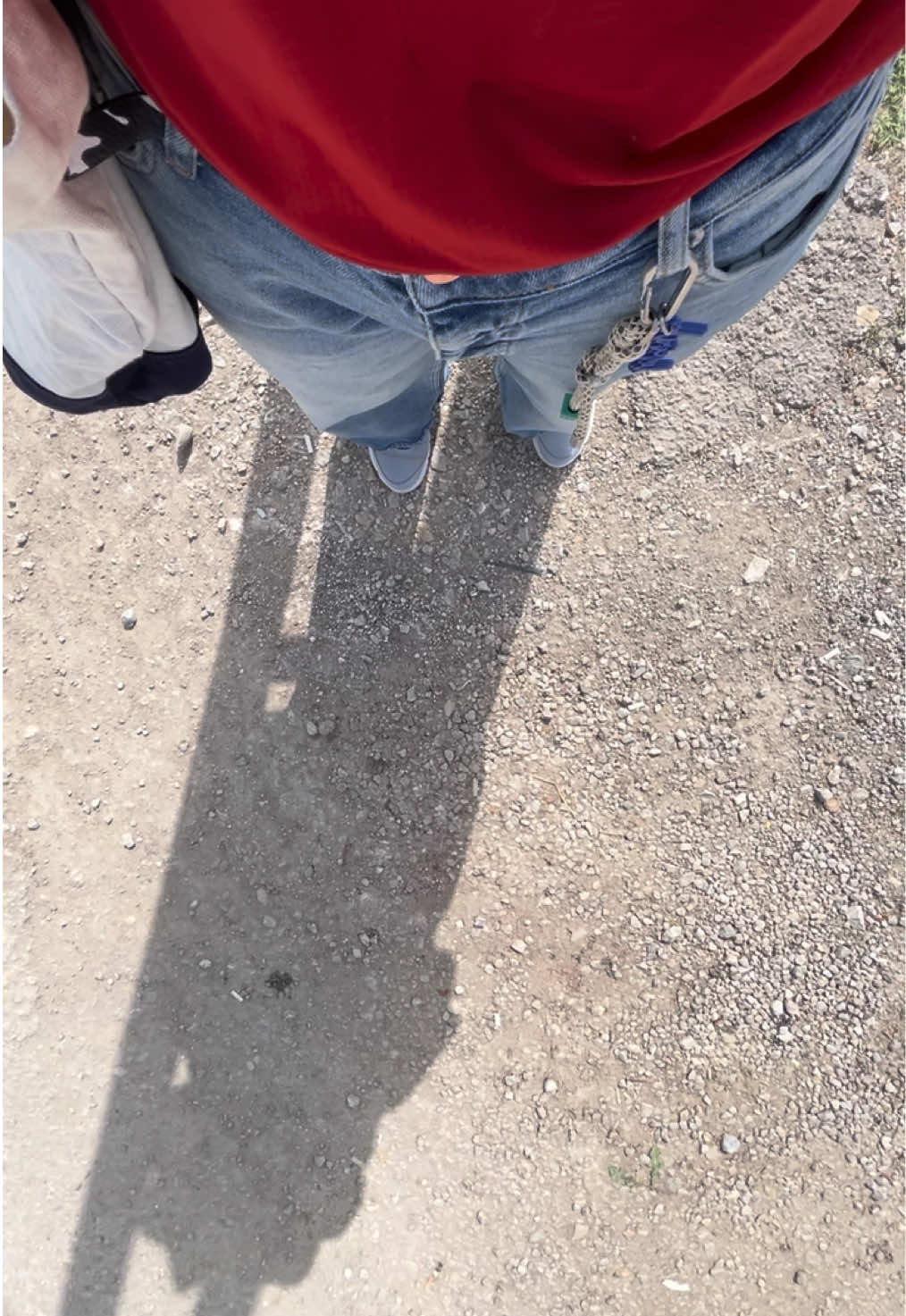 @asmreldaa