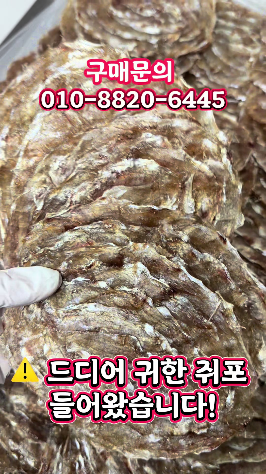 @숭사장(서산마른여자네건어물)🦑