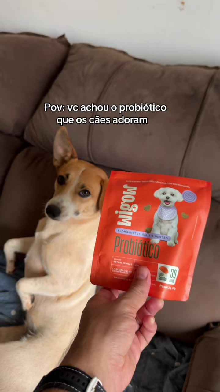 @Ale & Gui