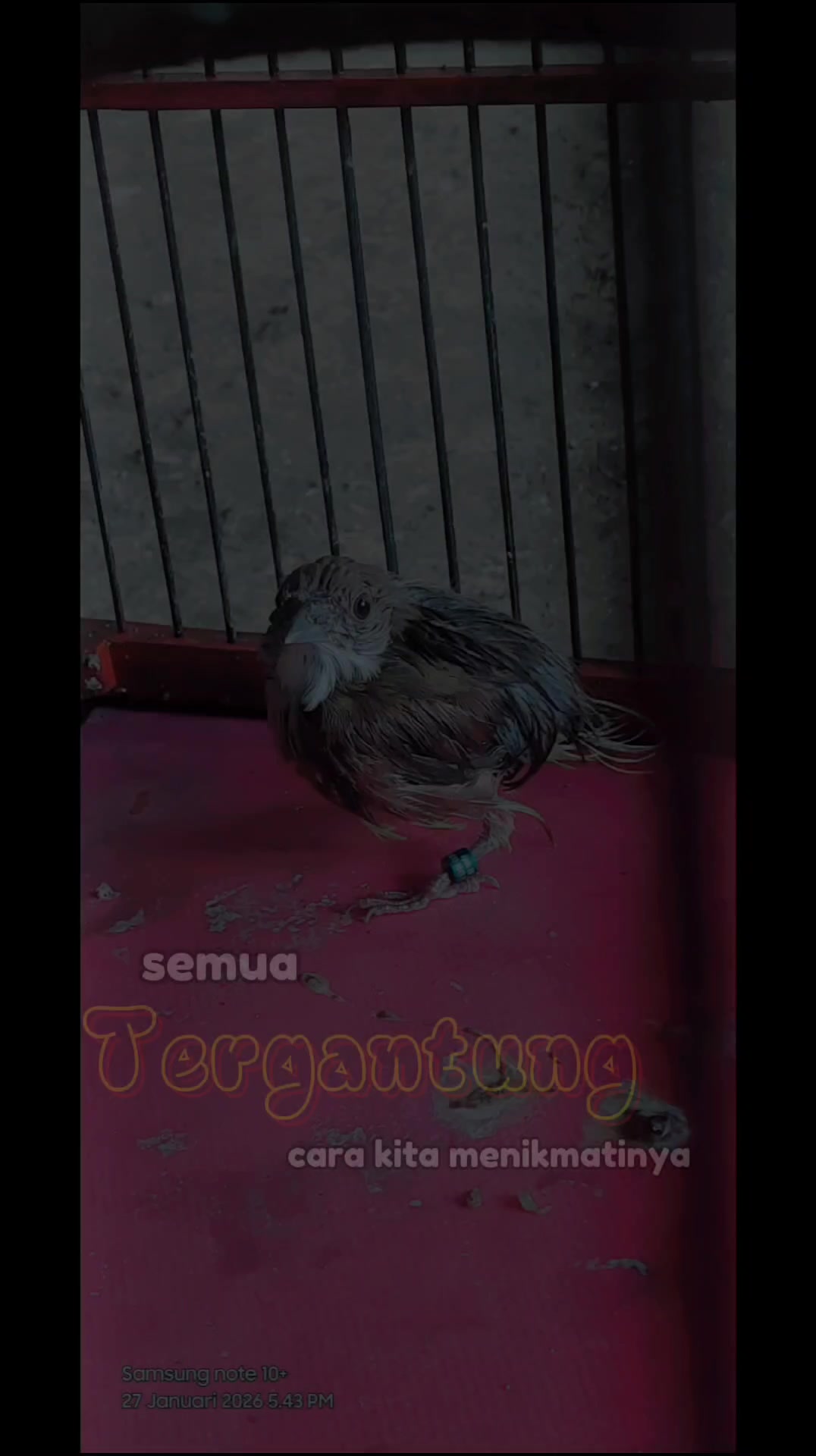 @Anyŭn_Little🕊