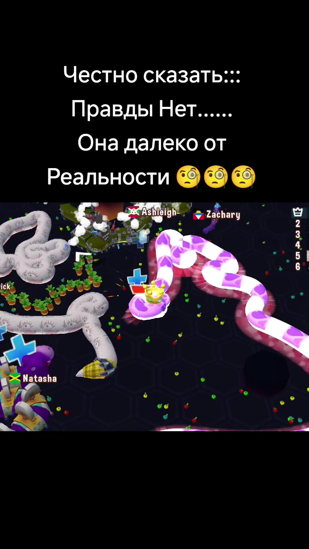 @kupit_slona_rek
