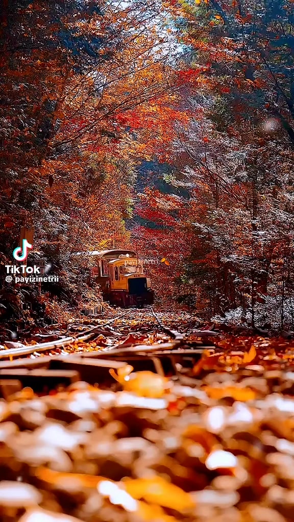 @Ugurbocegi