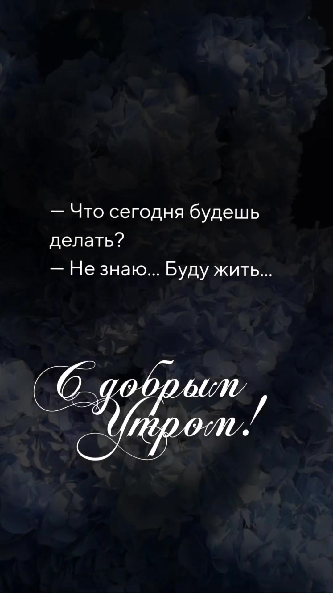 @☆꧁✬◦.𝒱.𝒮𝒽 .✬꧂☆