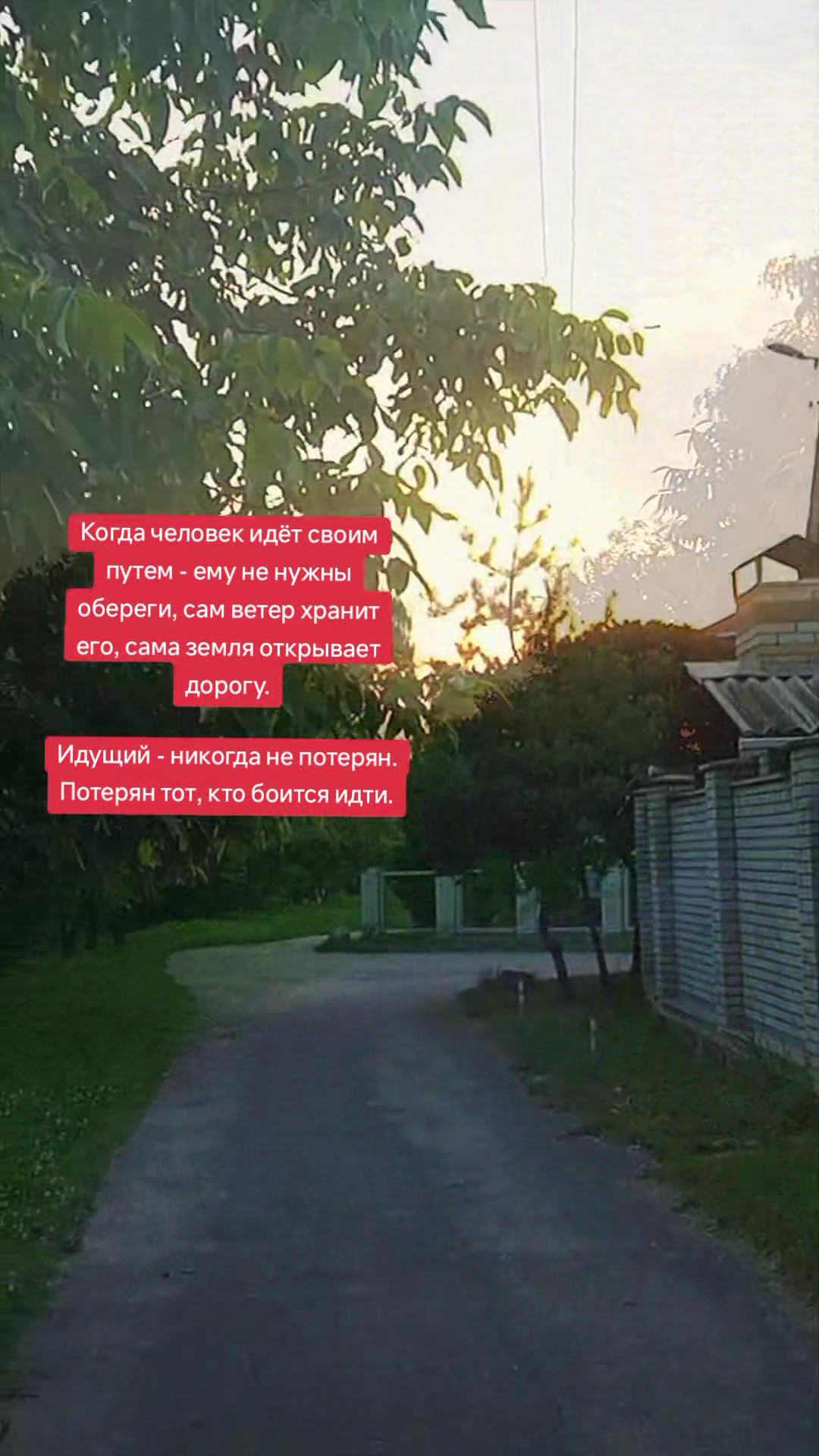 @Графиня де Россохатская