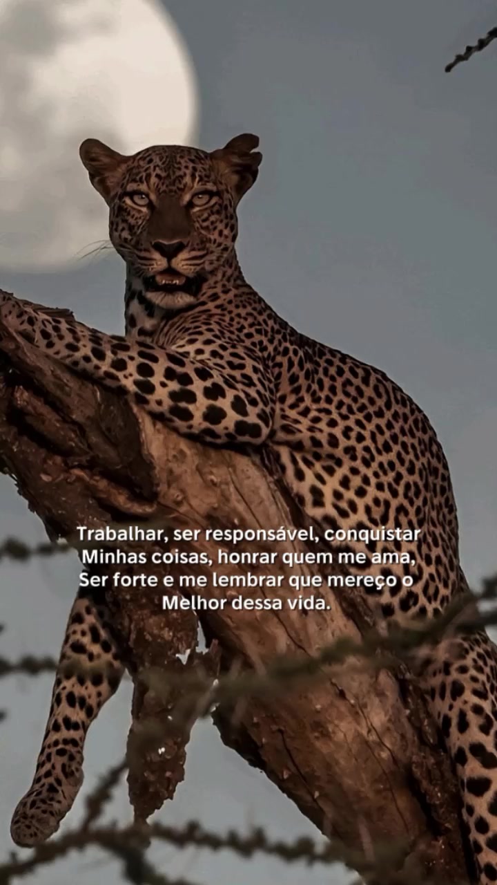 @𝙁𝙚𝙡𝙞𝙣𝙖.𝙈𝙚𝙣𝙩𝙚96🐆❤️