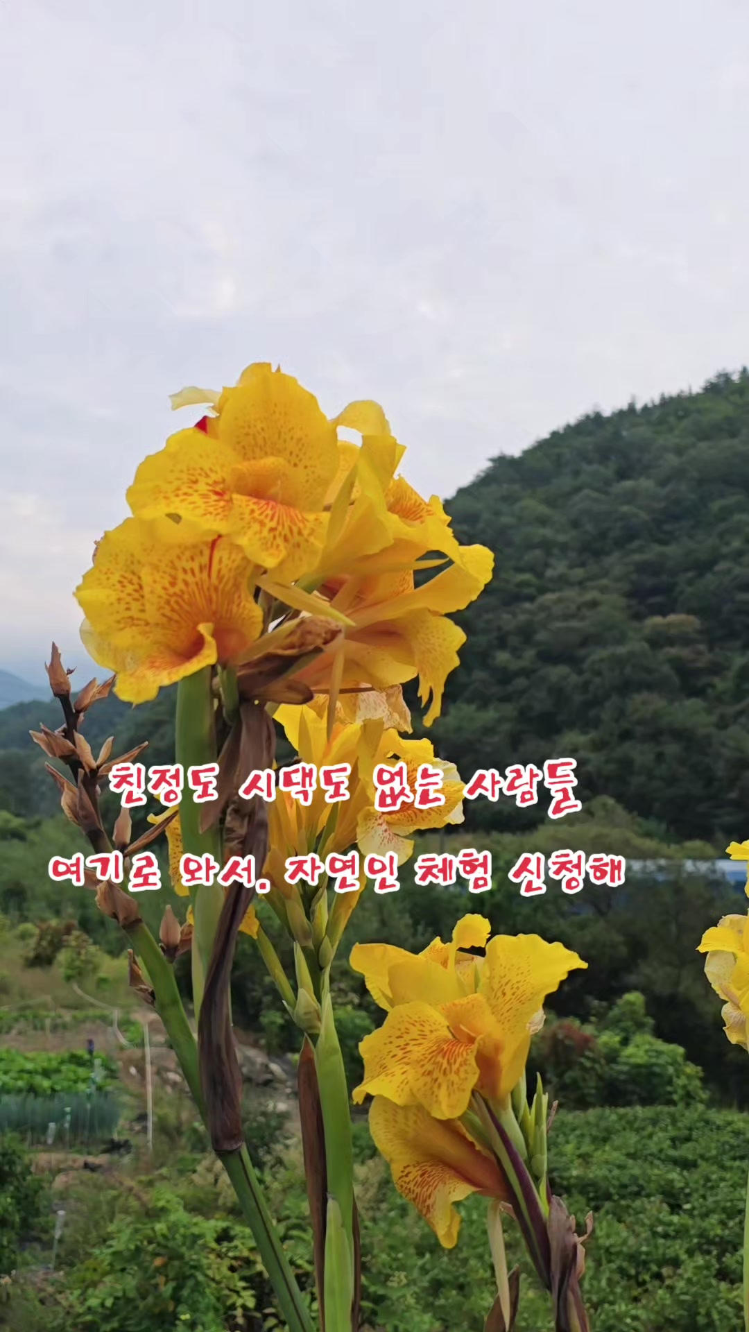 @나는 자연인이다 ~🤪