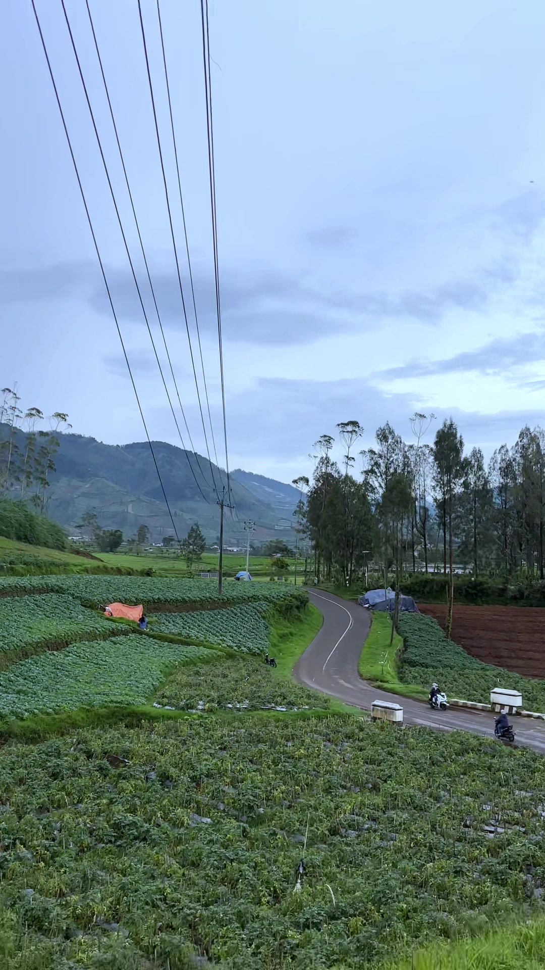 @Dieng Capture