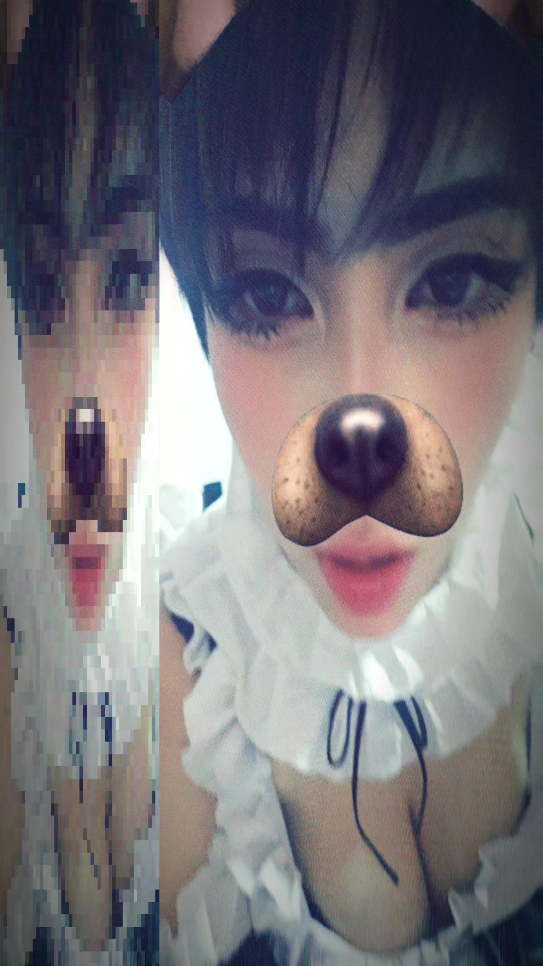 @Shiroshy 🦄