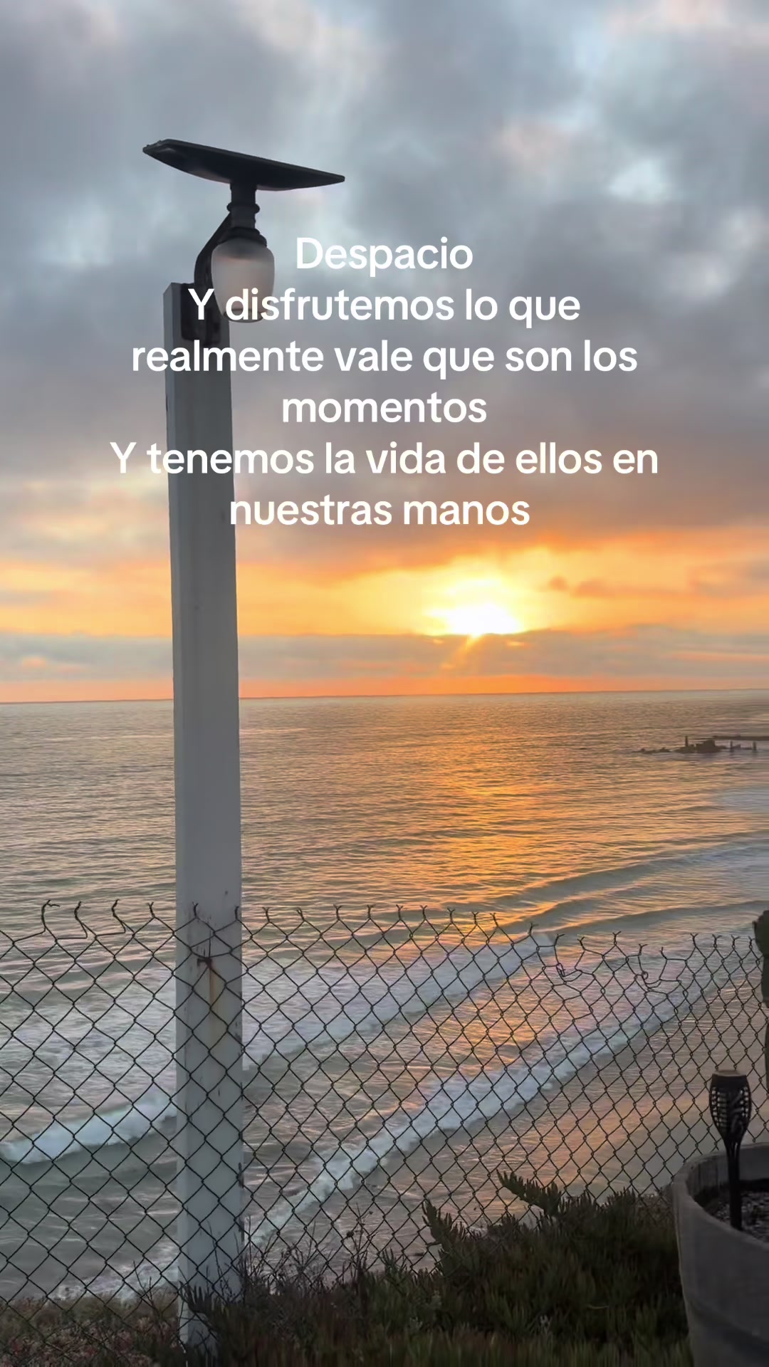 @dianamxlivlogs