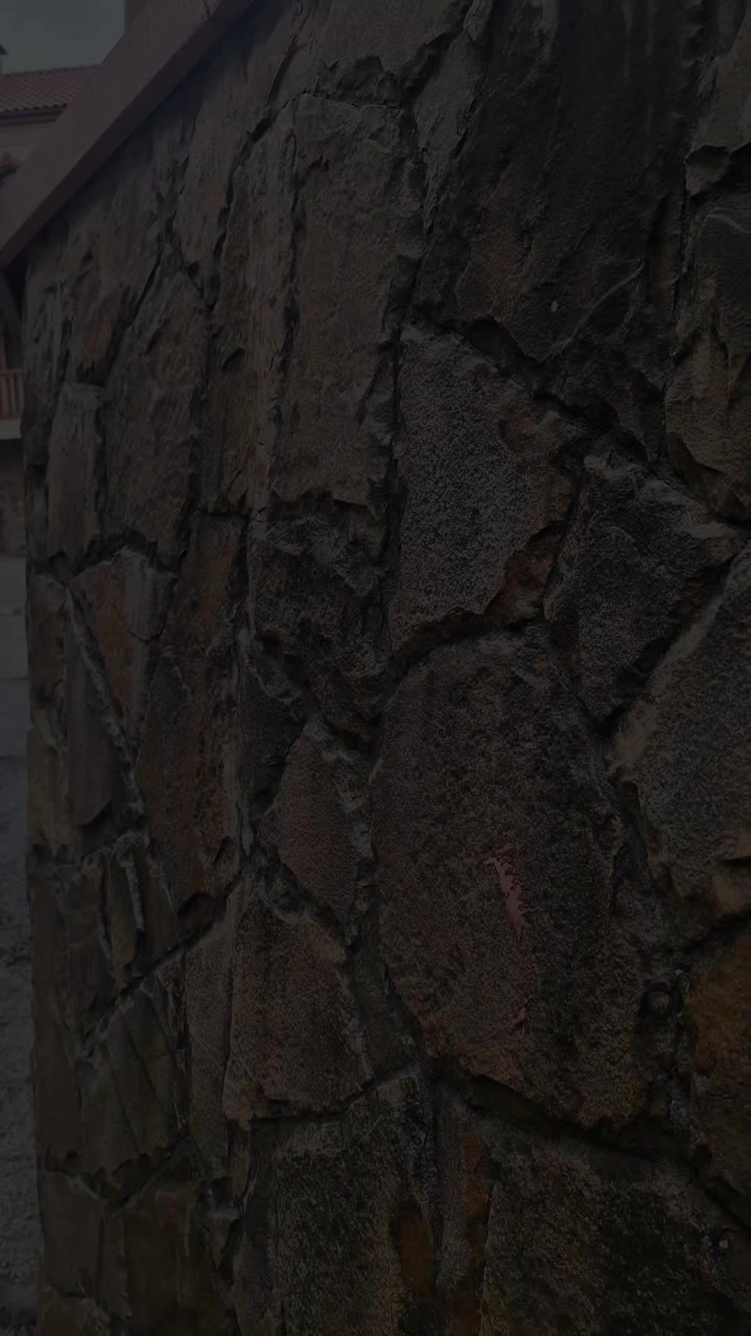 @katerina.kolyada