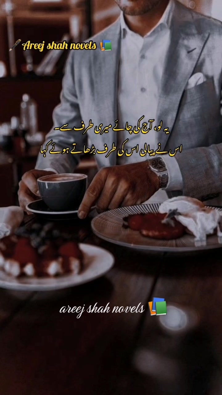 @Areej Shah Novels