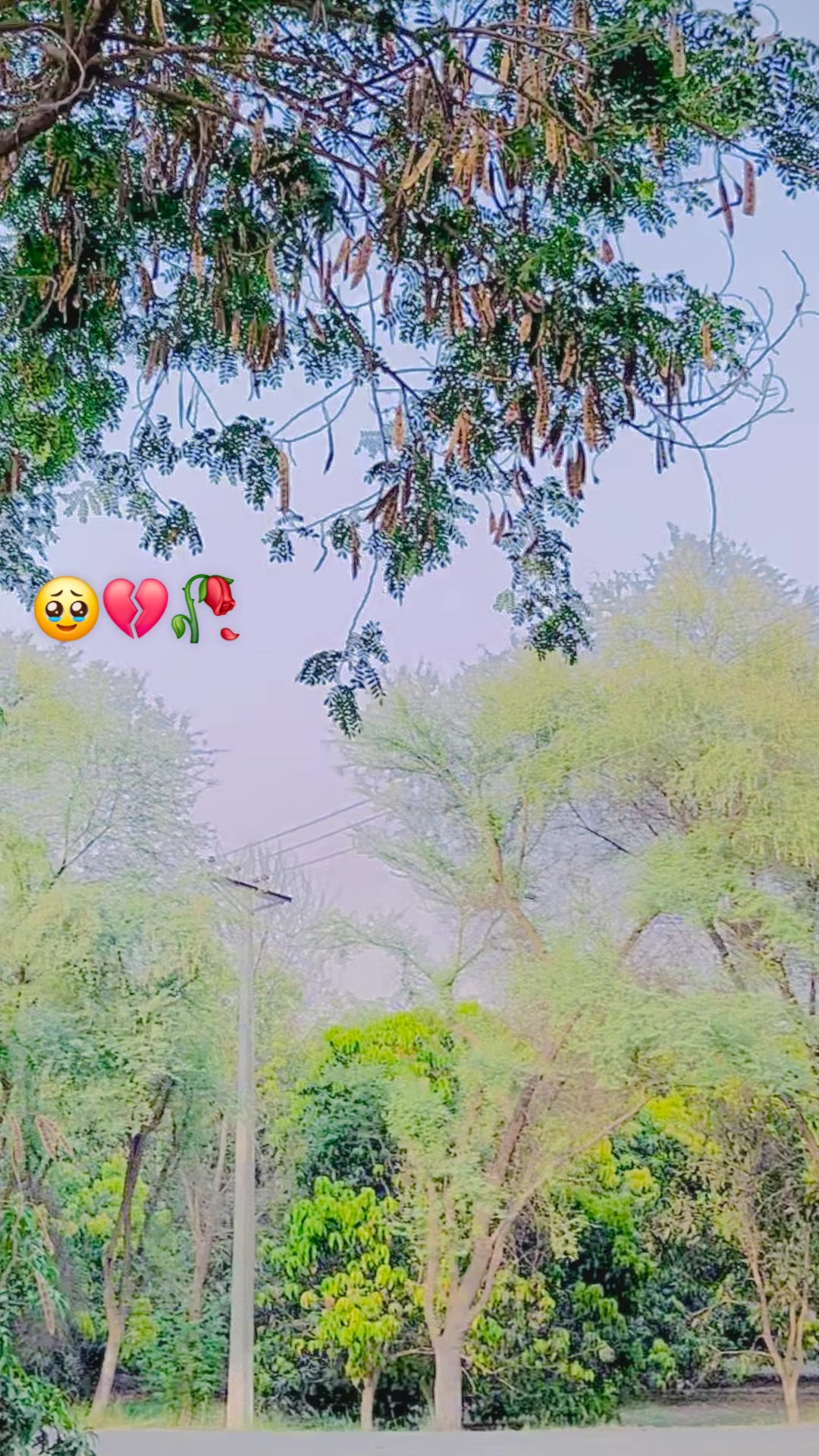 @MaliK UmaR 007 ✅