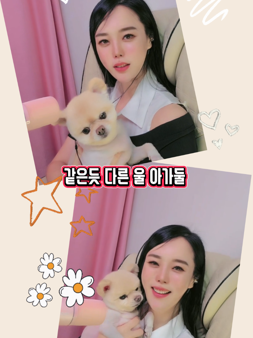 @๐๐ซฐ๋ฆผ๋ฅ๐ซฐ๐