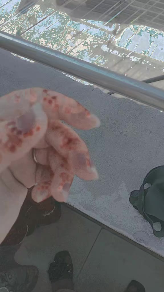 @m h
