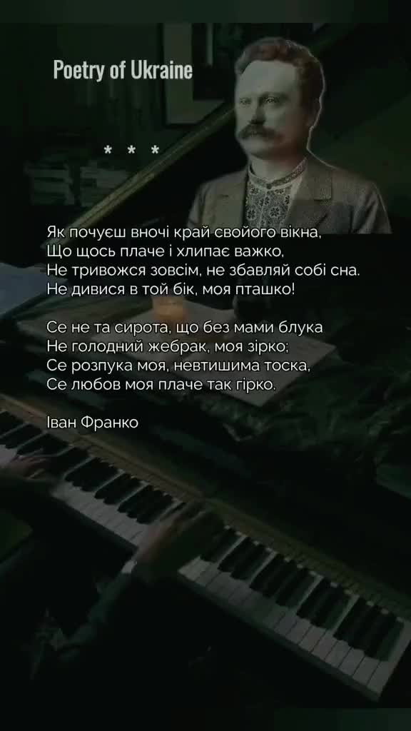 @a.l.y.o.n.k.a_ua 💙💛