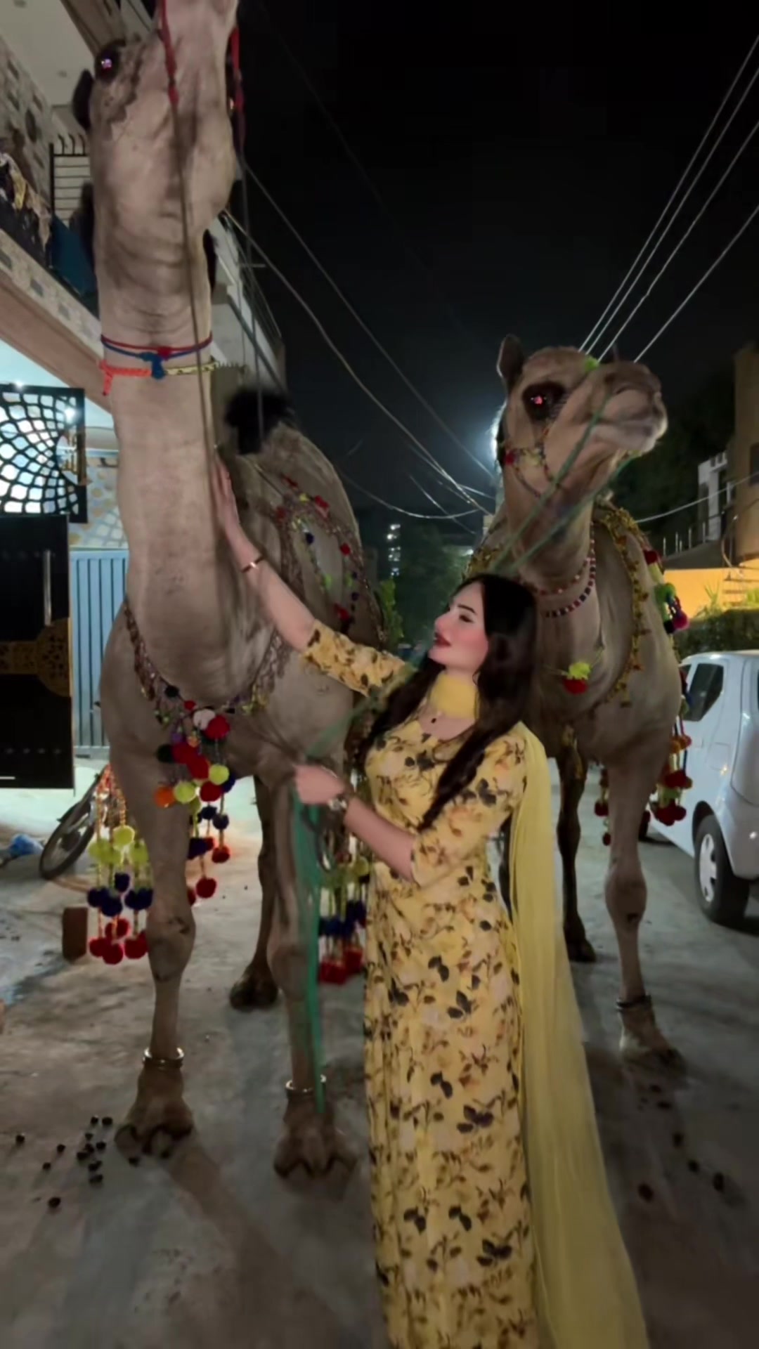 @Zarnab Khan Swati