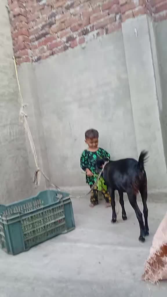 @SUBHANALI