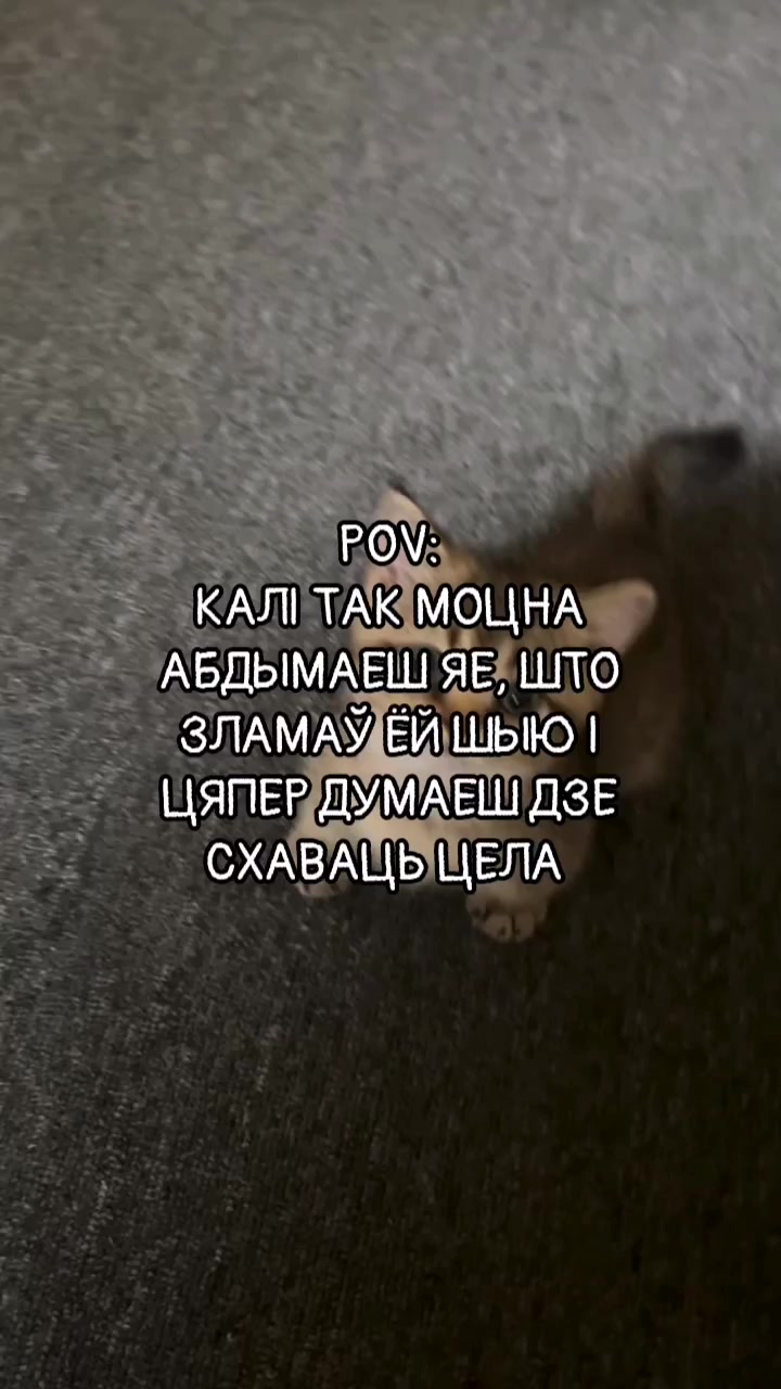 @Biełaruski Humar (BH)