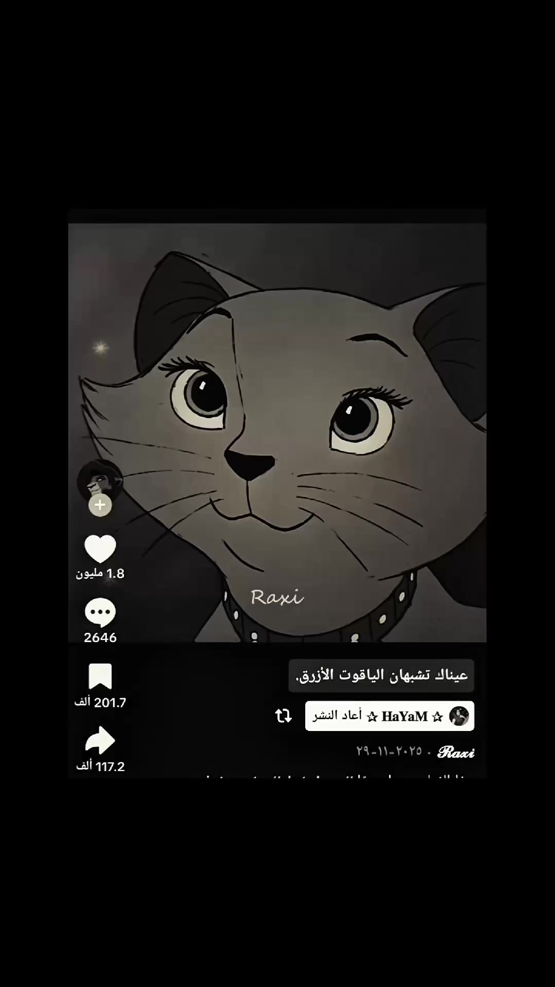 @Y🐆