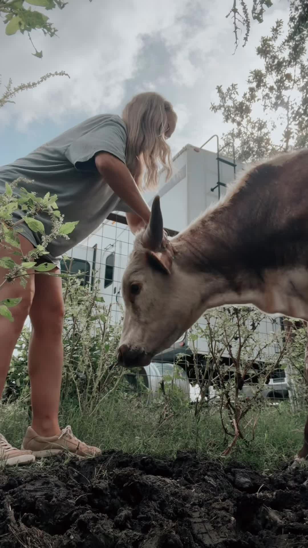 @Jorden Halvorsen