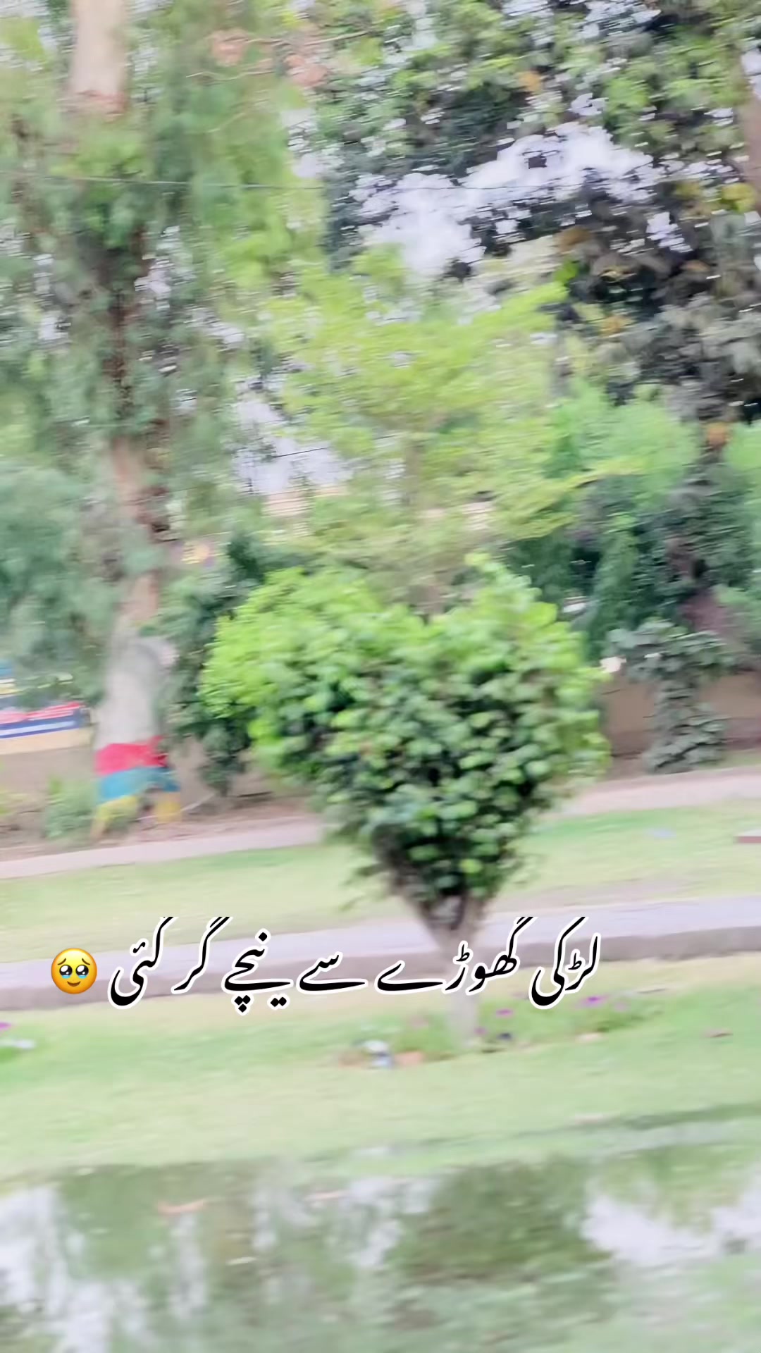 @عباسی