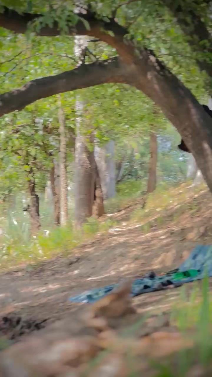 @๐ชmeyo+2500๐ช