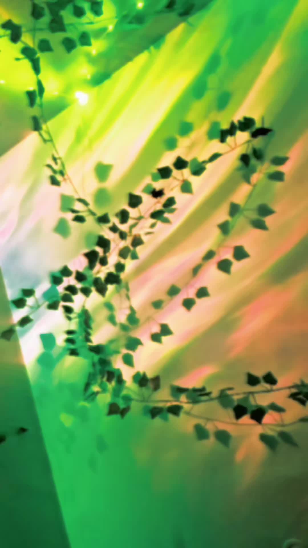 @💜✨️♡ASVJ♡✨️💚