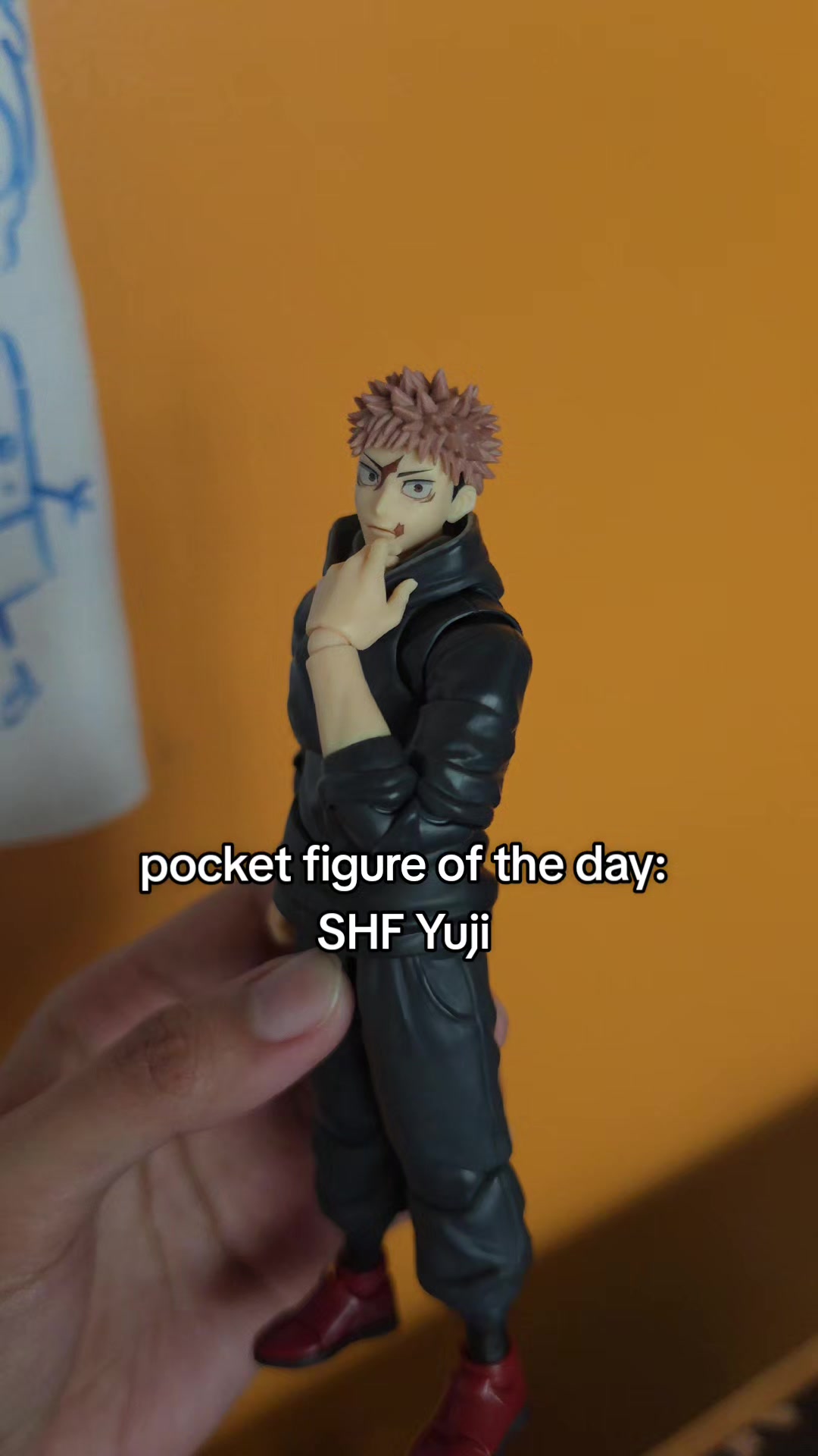 @supreme hobbyist