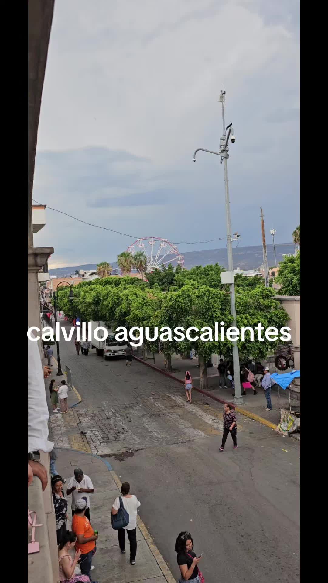 @memohuerta