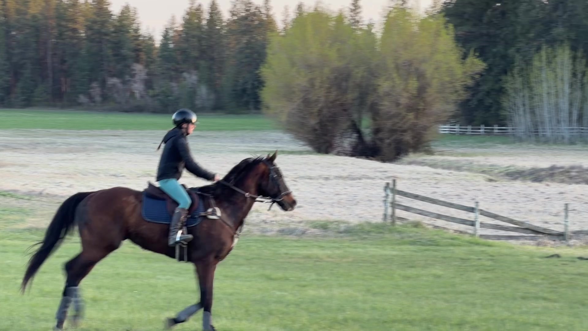 @🐴equestrian🐴