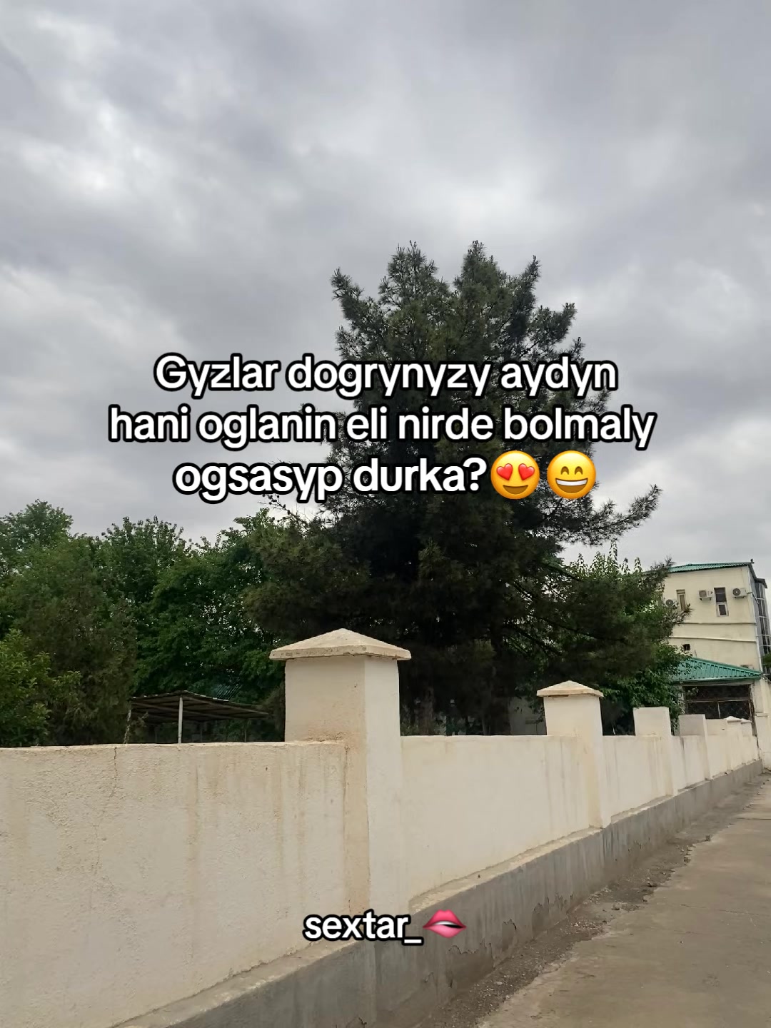 @sextar🇹🇲