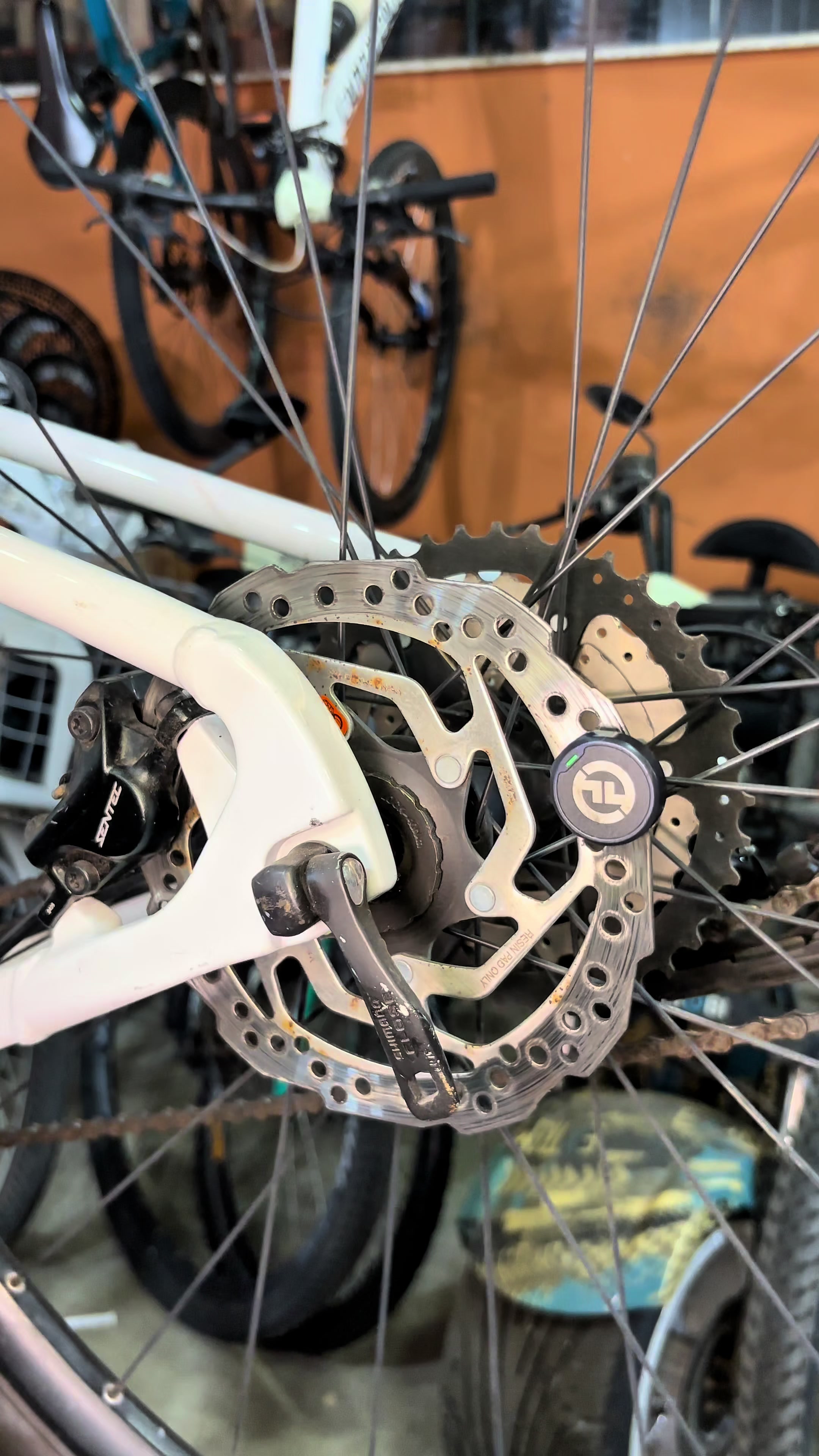 @TerraBike