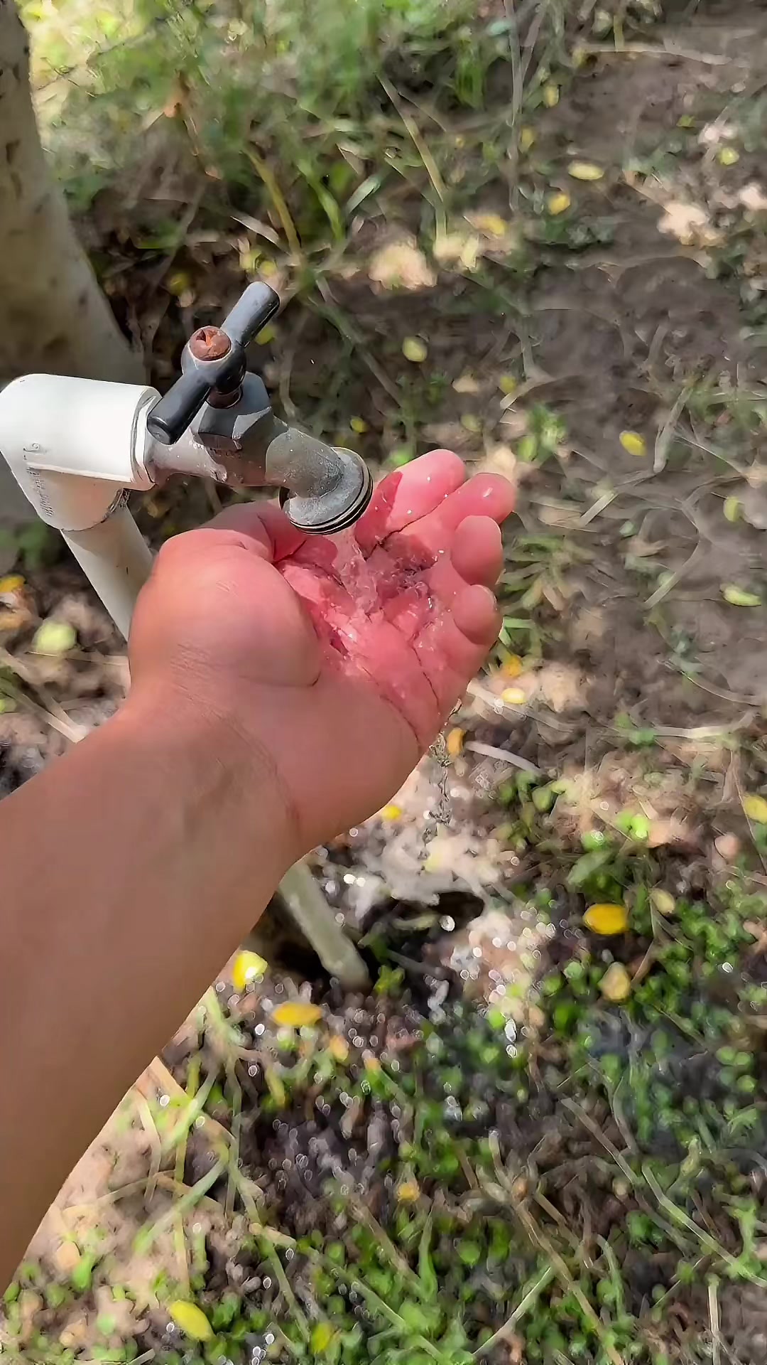 @Marco Ortiz🧸
