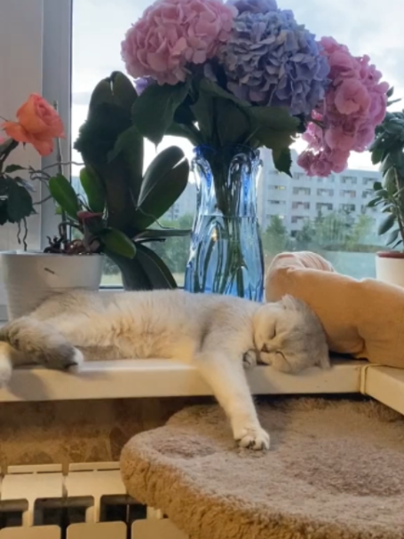 @БУЧ211