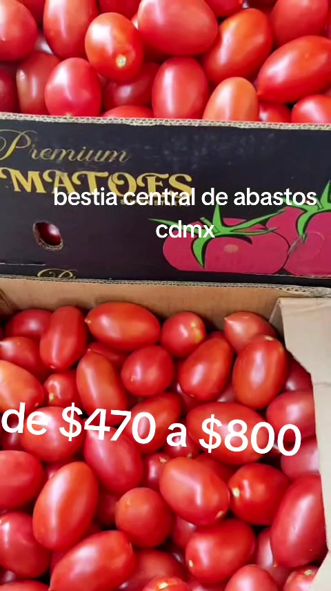 @Bestia central CDMX