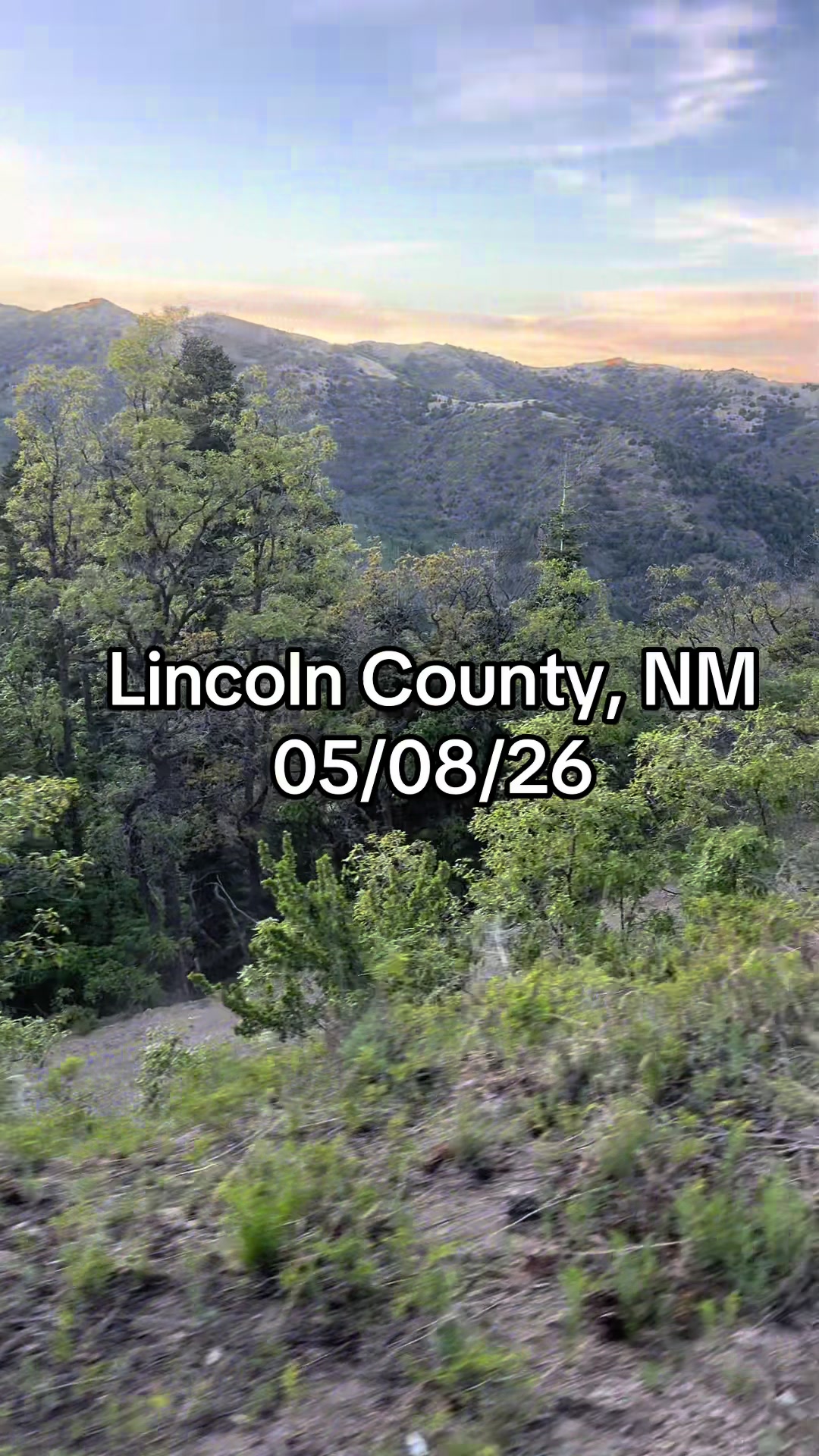 @Mirissa Good Ruidoso Realtor
