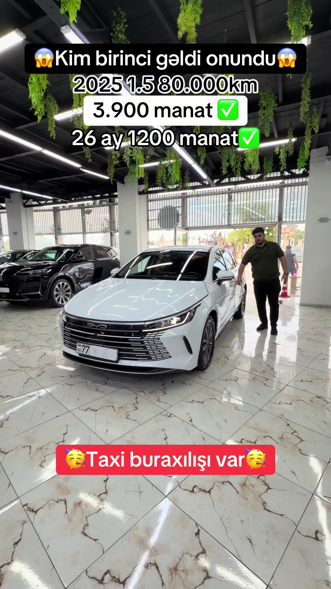 @Elim yandi auto Babek✅