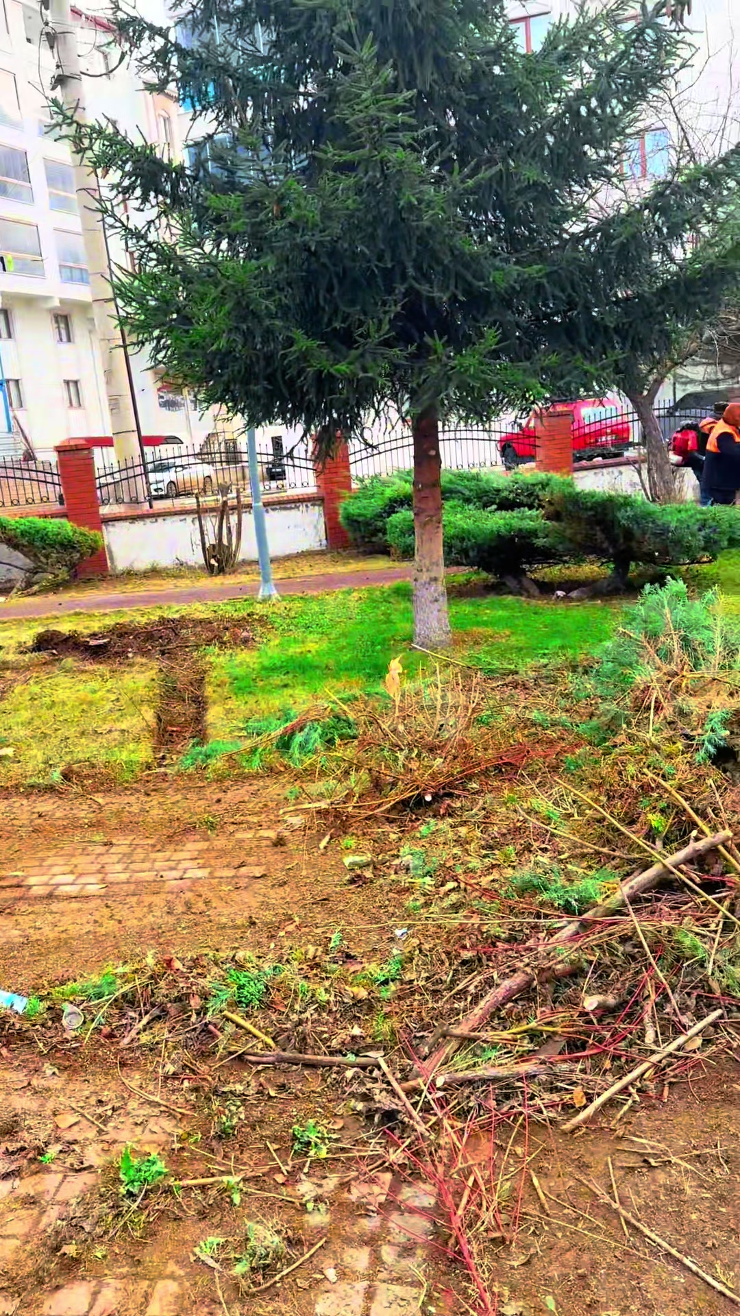 @Ziya Kartal