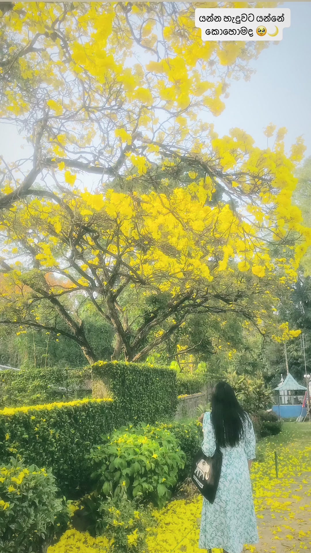 @Nethmi Nawanjana Wijayarathna