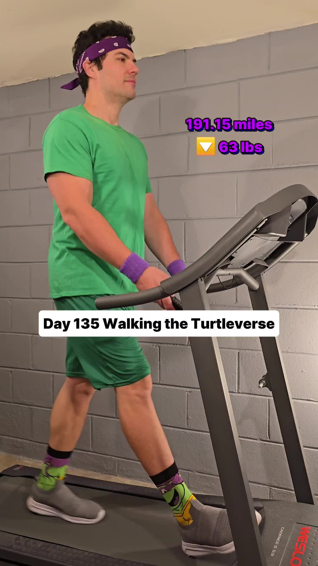 @Walking the Turtleverse