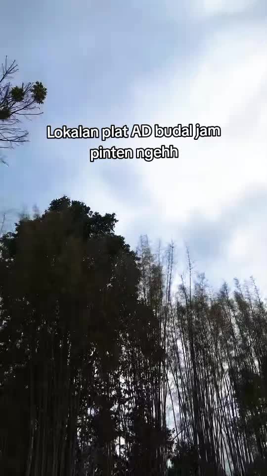 @๐๐๐๐ ๐๐๐๐ค๐ช๐ ๏ฃฟ