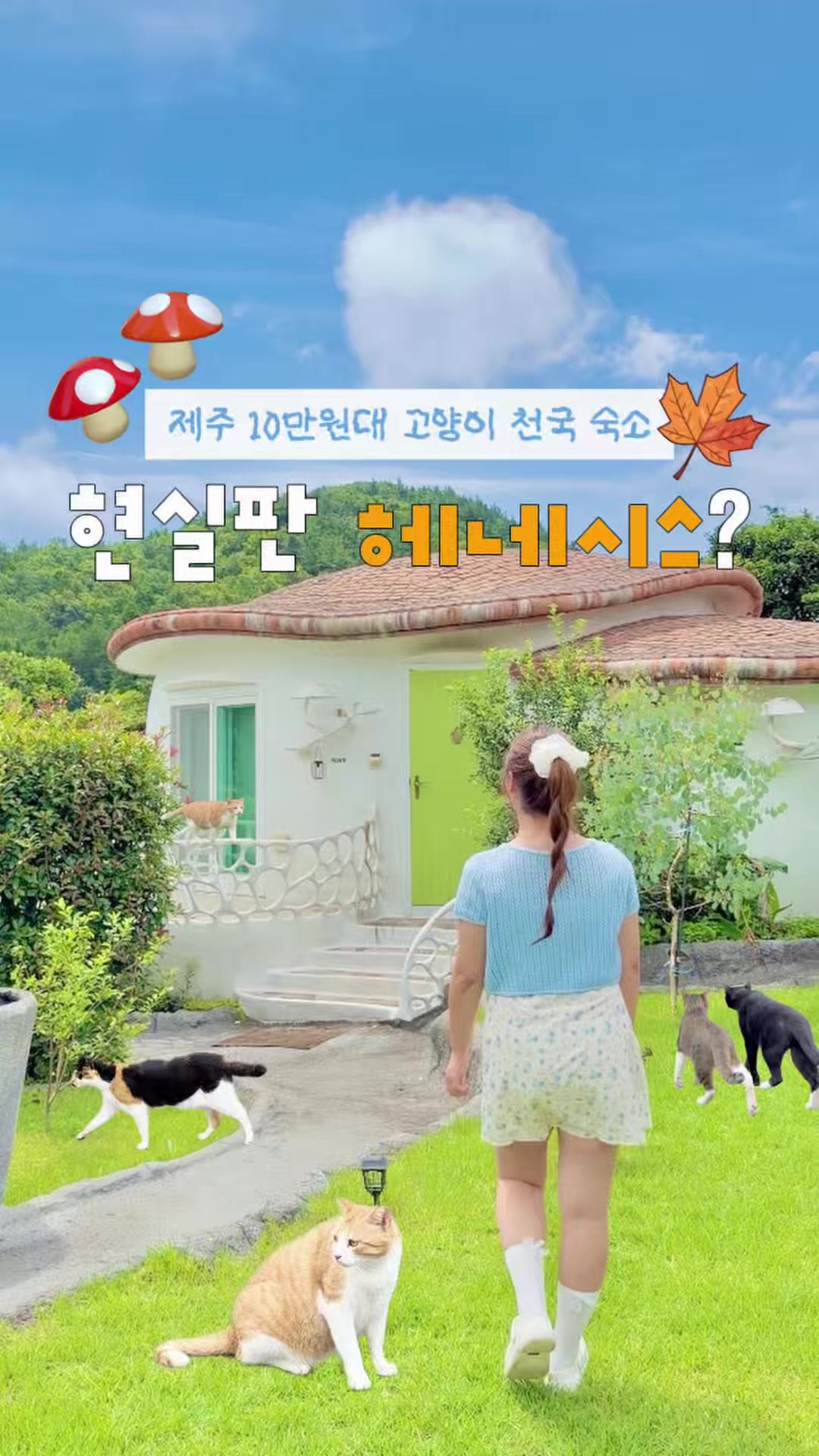 @메로디