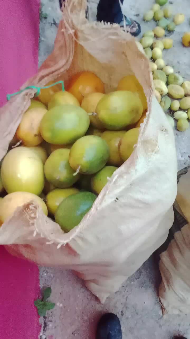 @JEAN.PIERRE