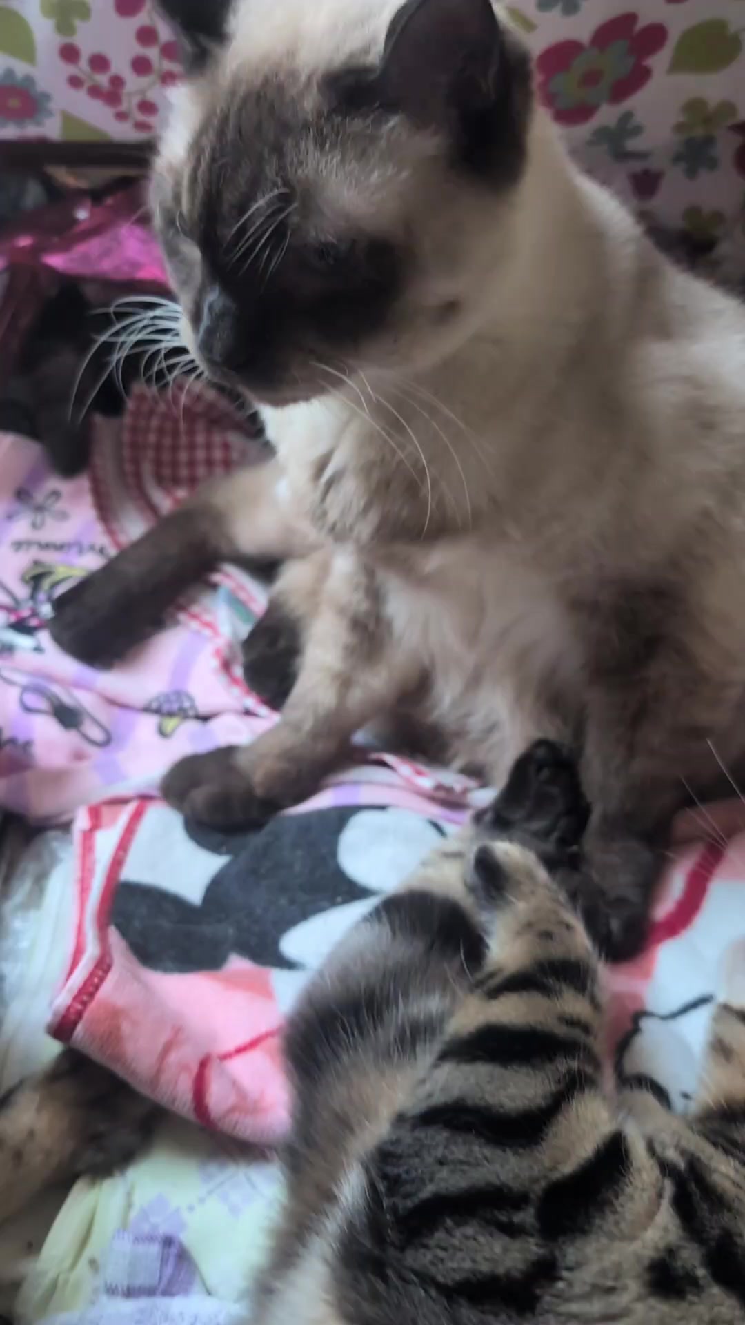 @睡眠プロデュース