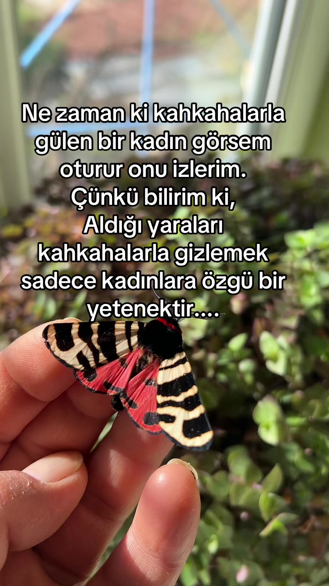 @KAİNAT🐅