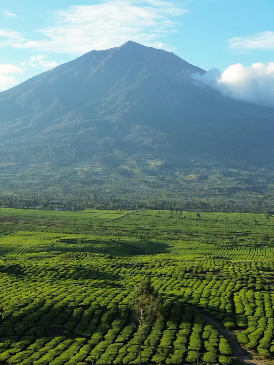 @Pesona Indonesia