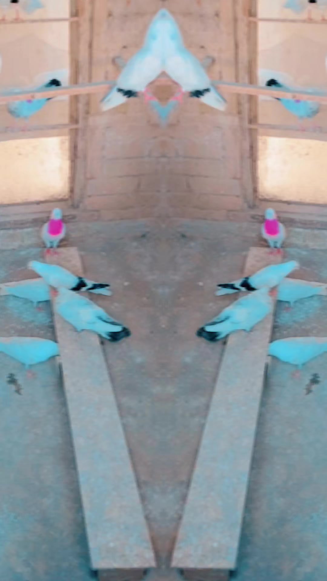@Satinder Singh Hayer