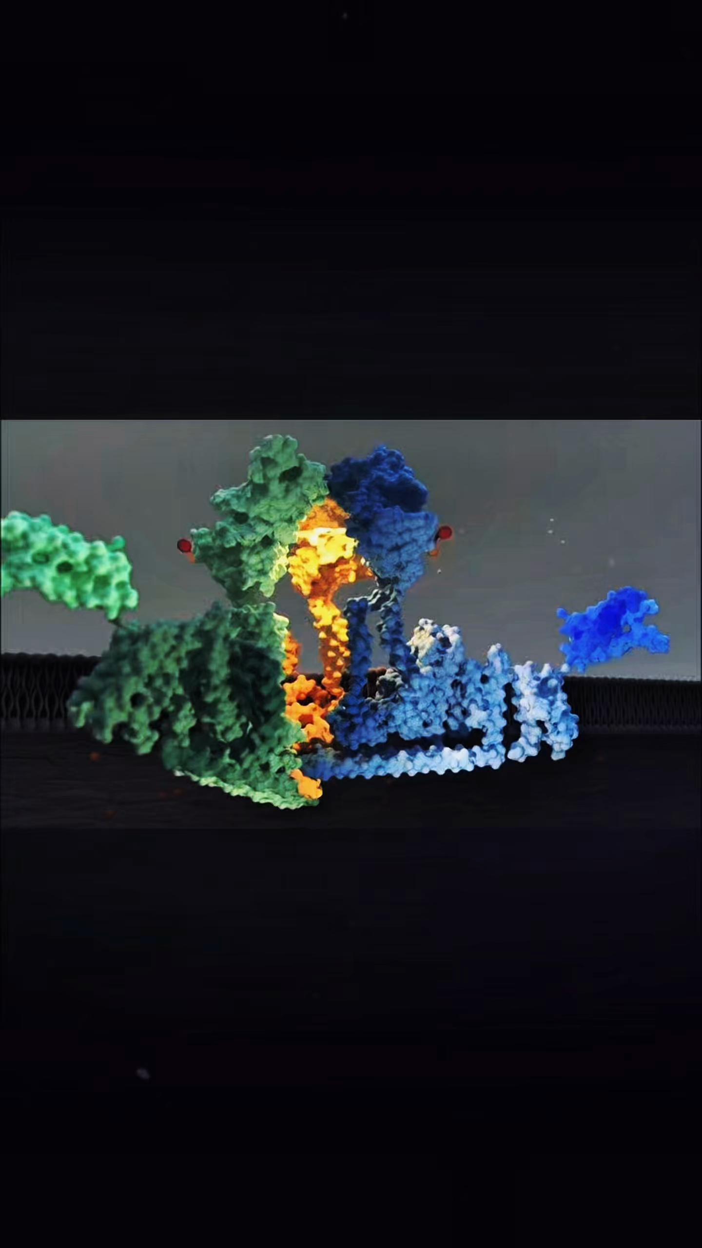 @🧬RPO🧬