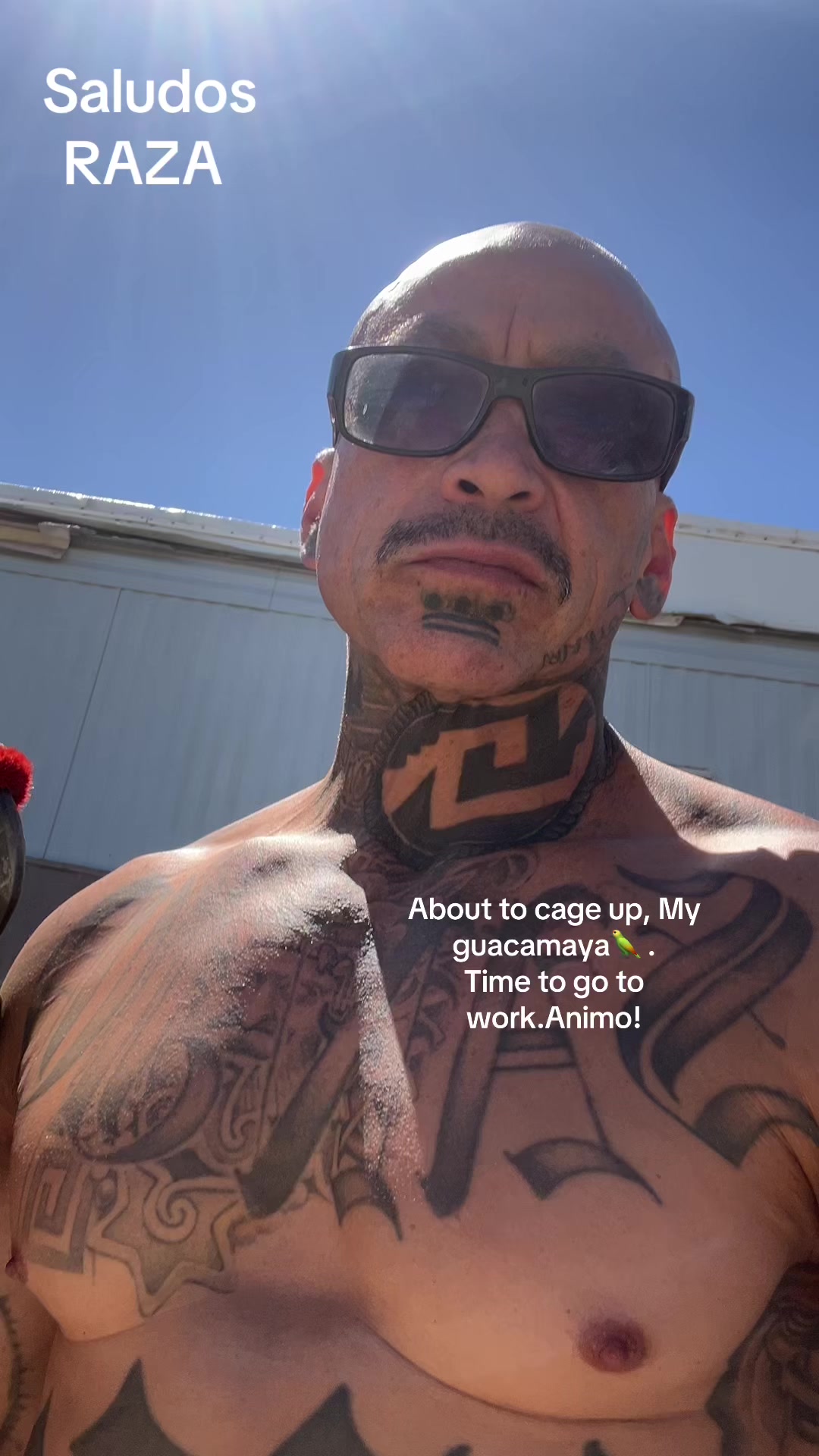 @chinoblue😎